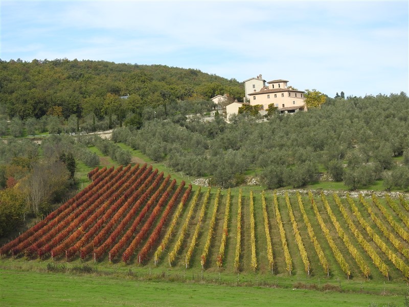 Camminare in Toscana e nel mondo