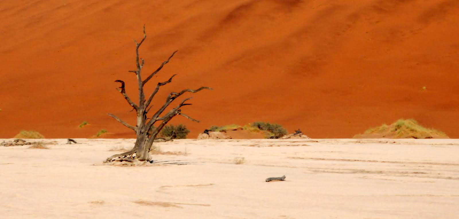 Il deserto del Namib!