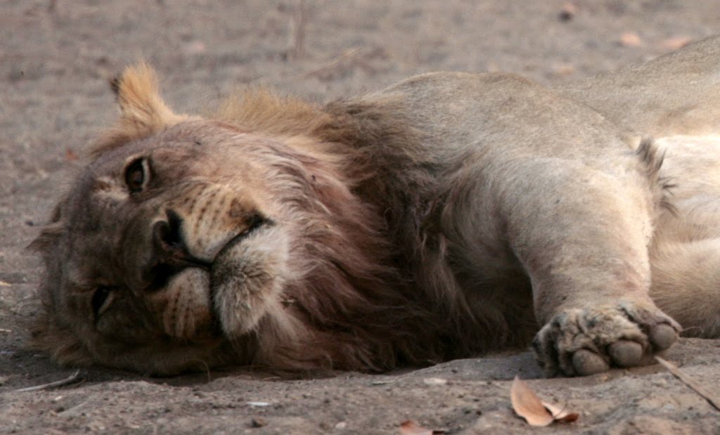 Slow Namibia