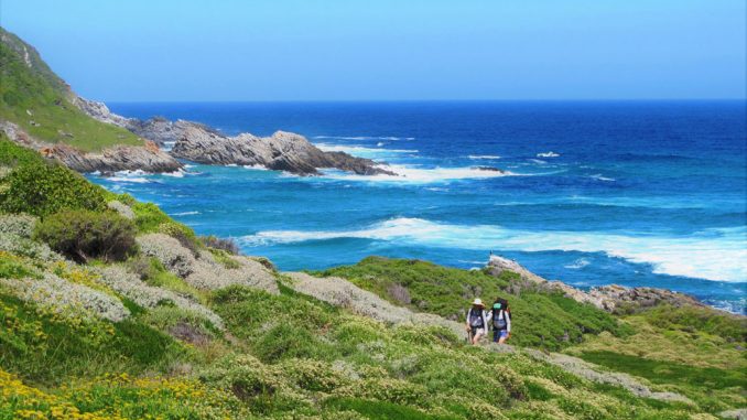 Otter Trail, il sentiero più iconico per trek in Sudafrica