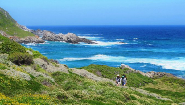 Otter Trail, il sentiero più iconico per trek in Sudafrica