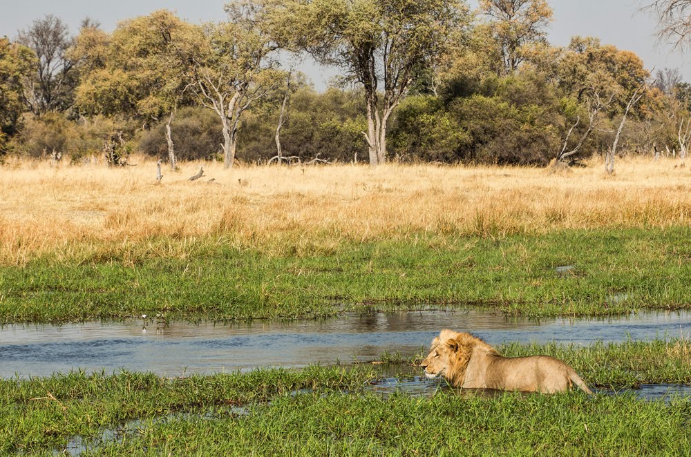 Namibia del Nord, Botswana e Cascate Vittoria con Cate e accompagnatore dall'Italia Silvia Marchini - 03/15 Aprile 2027