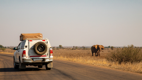 Informazioni per un viaggio in Namibia