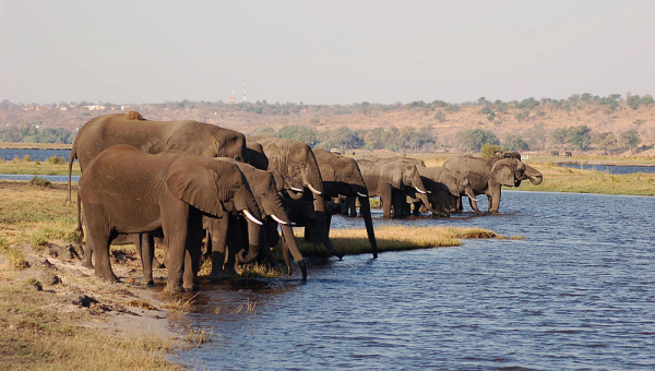 Dalla Namibia al Botswana...