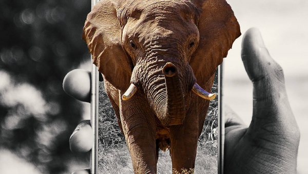 Smartphone in Namibia? Detox no?