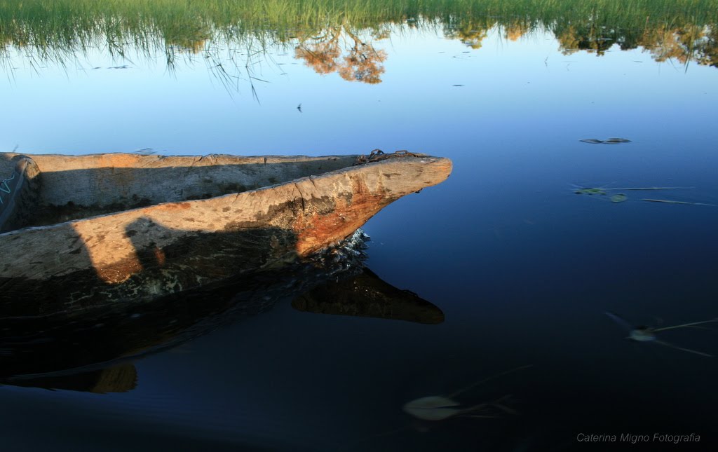 PANORAMA DEL BOTSWANA