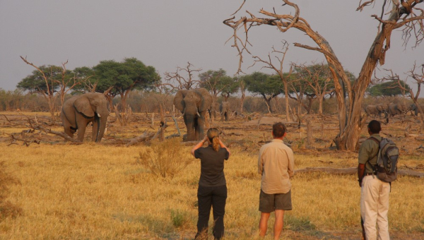 BOTSWANA EXPERIENCE