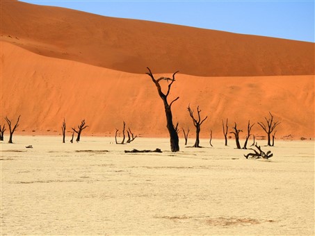 Namibia classica Agosto 2025
