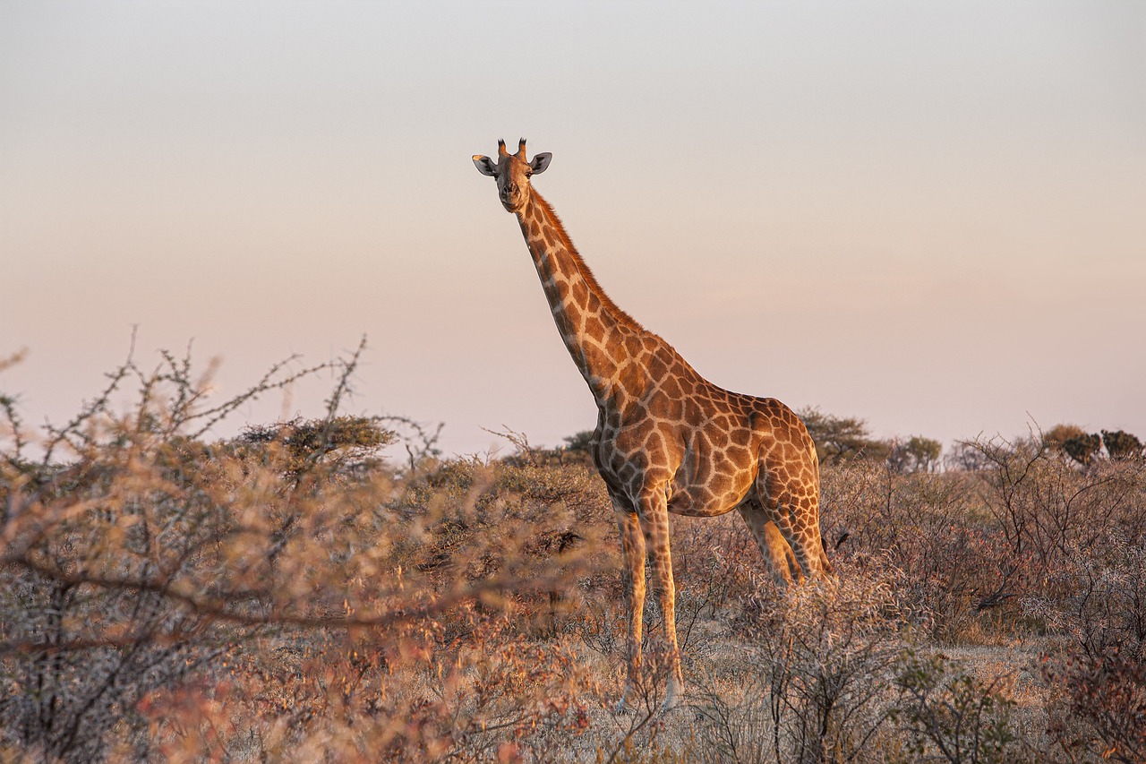 A chi è adatta la Namibia? A tutti!
