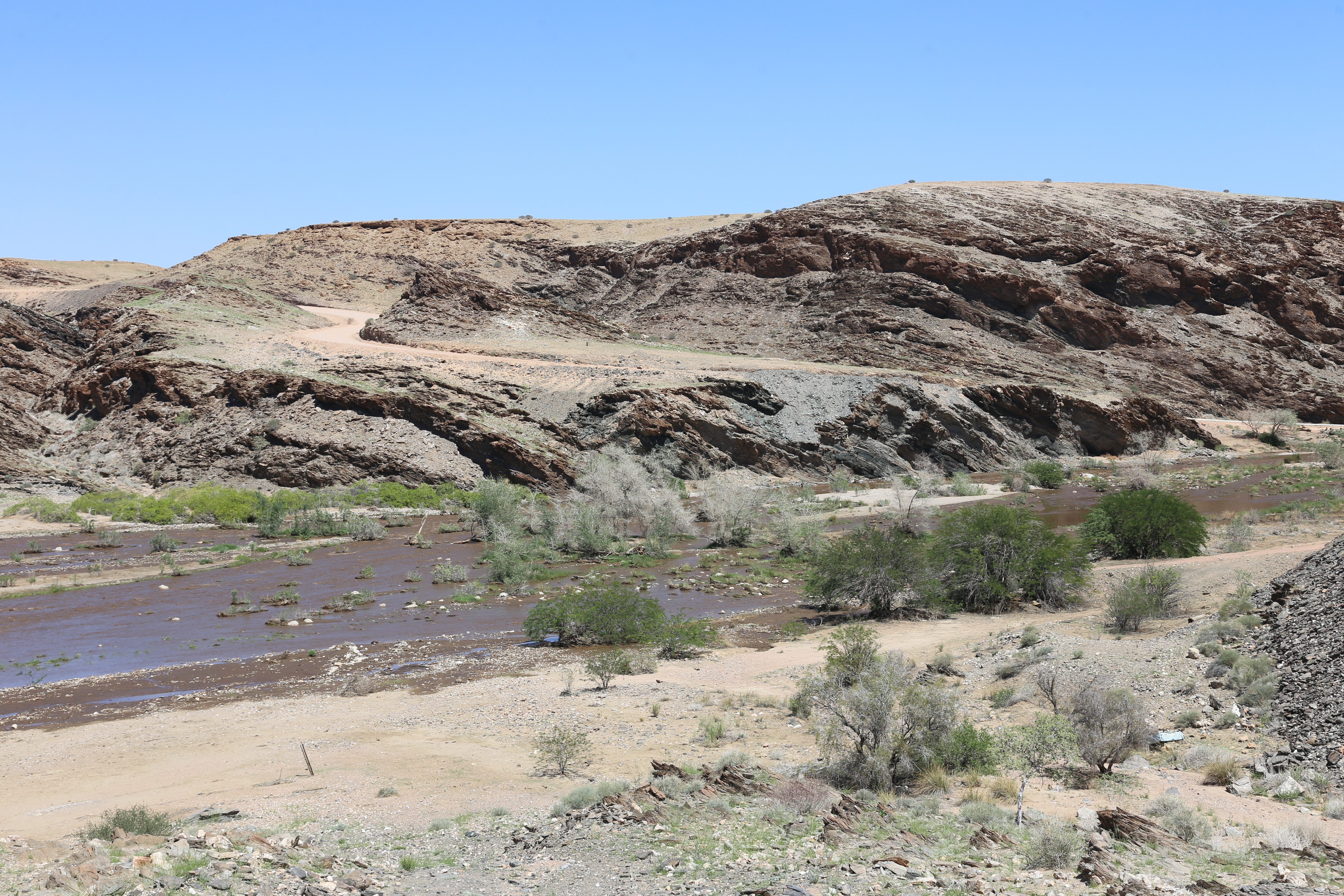 Piogge eccezionali in Namibia dopo 110 anni!