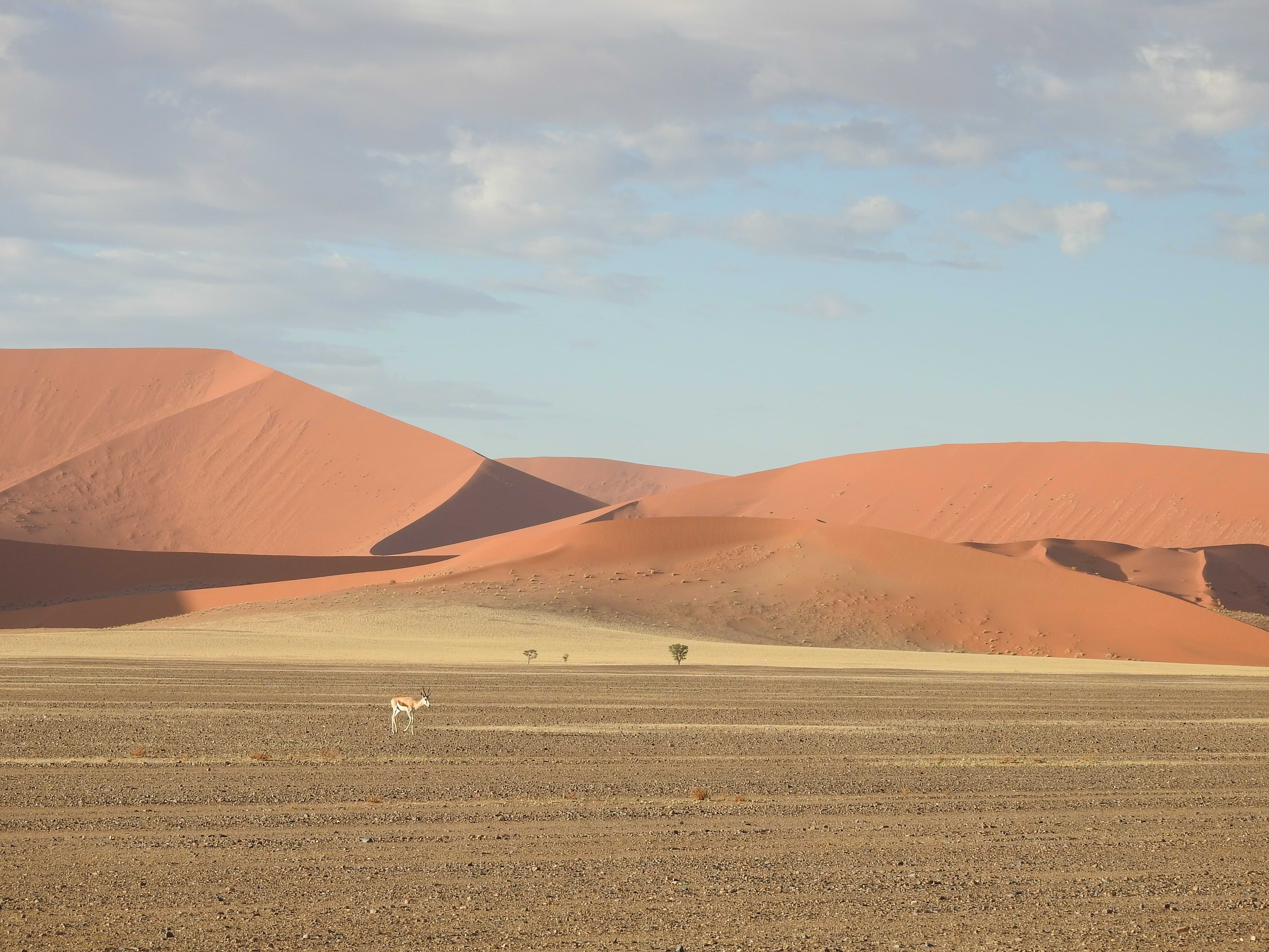 Il respiro antico della Namibia