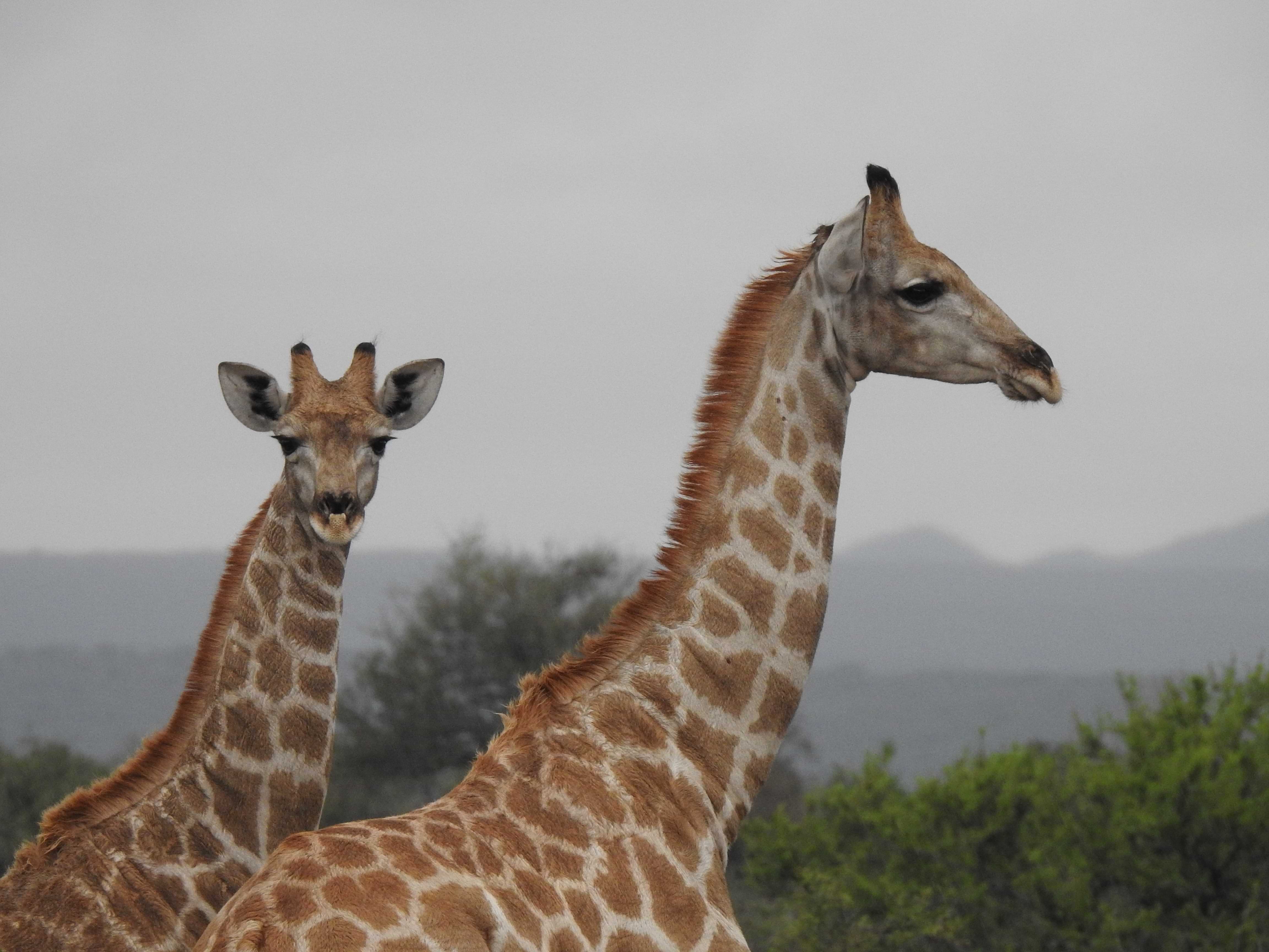 PASQUA IN NAMIBIA CON TOUR LEADER DALL'ITALIA E CATE