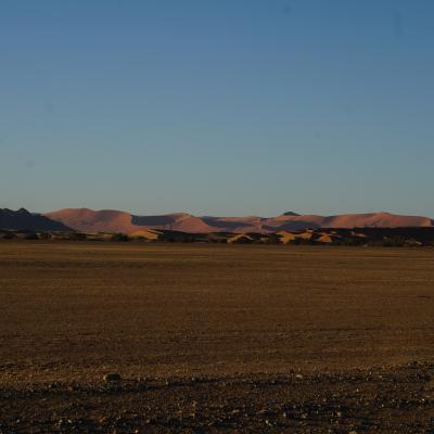 Dsc035311