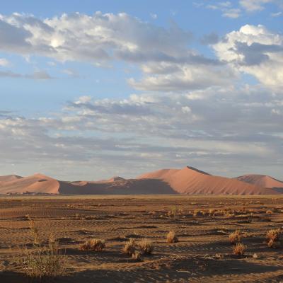 Dune1