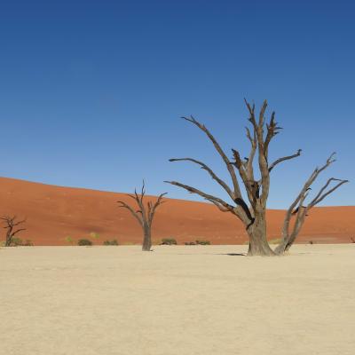 Dune3
