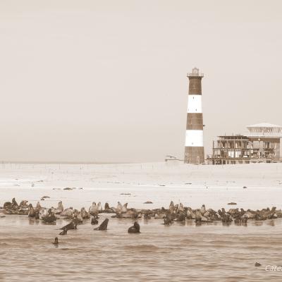 Dscn0287 Renamed 28155