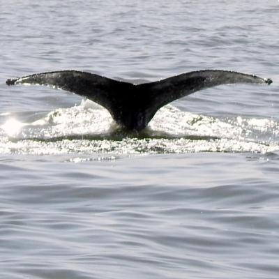 Dscn0326 Renamed 3194