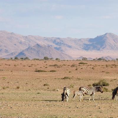 Dscn0416 Renamed 17556