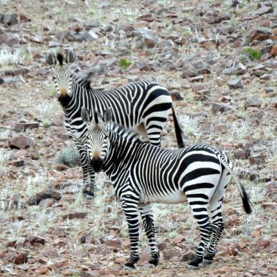 Dscn0432 Renamed 3607