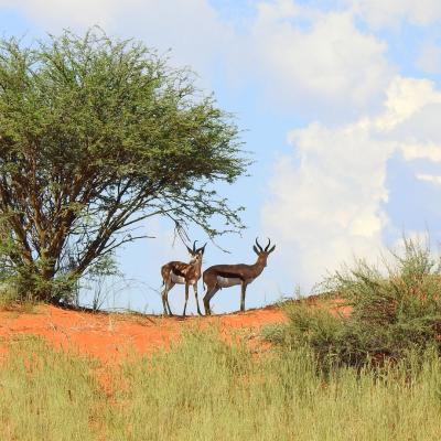 Dscn0559 Renamed 743