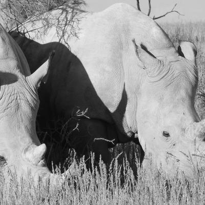 Dscn0598 Renamed 5240