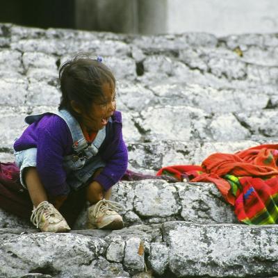 Guatebimba